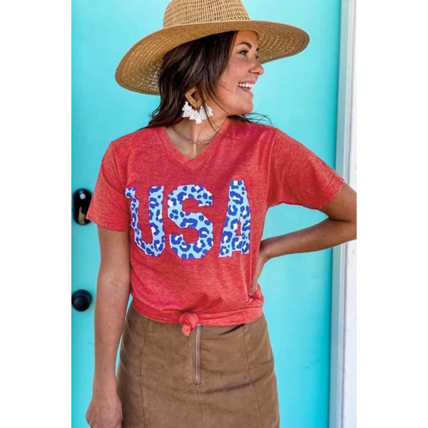 Vintage Washed Cheetah USA Graphic Tee