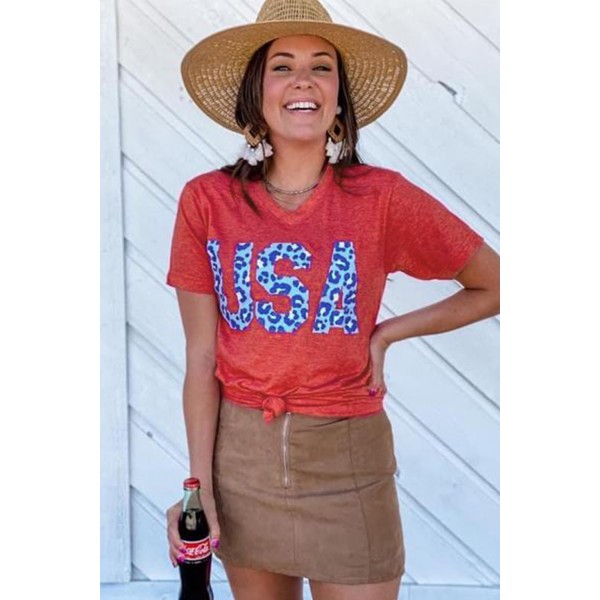 Vintage Washed Cheetah USA Graphic Tee