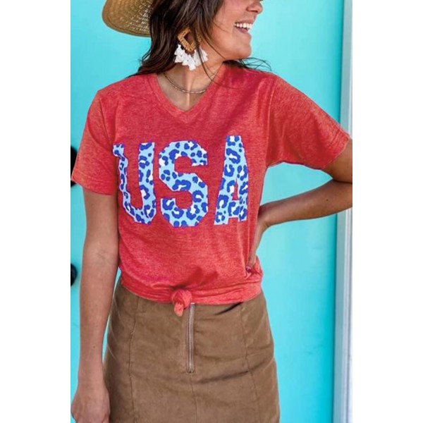 Vintage Washed Cheetah USA Graphic Tee