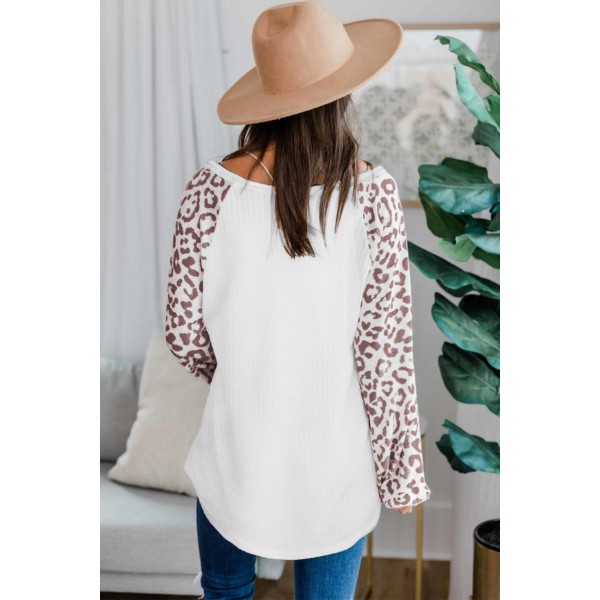 Leopard Raglan Sleeve Knitted V Neck Blouse