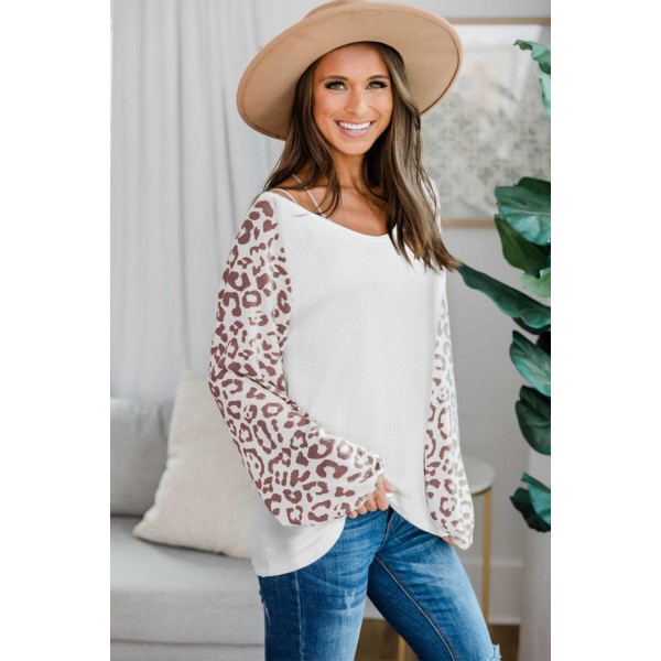Leopard Raglan Sleeve Knitted V Neck Blouse