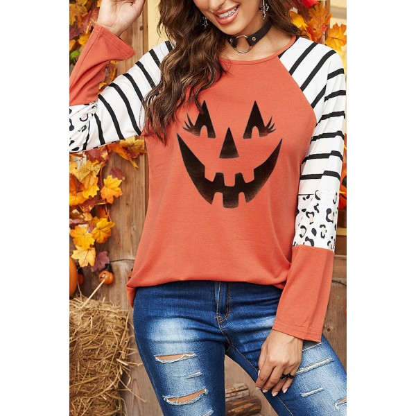 Halloween Graphic Striped Leopard Raglan Top
